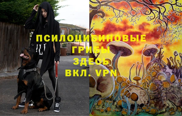 мескалин Новодвинск