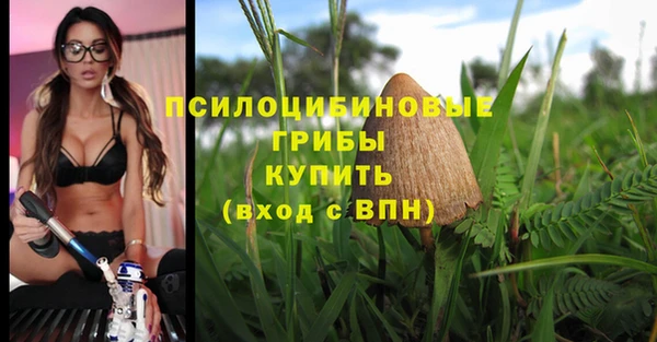 мескалин Билибино