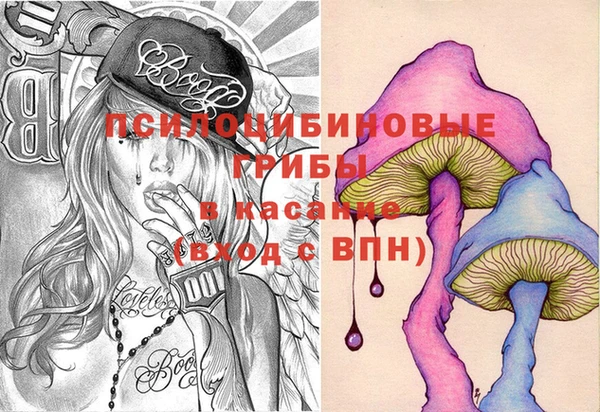 соль ск Новозыбков