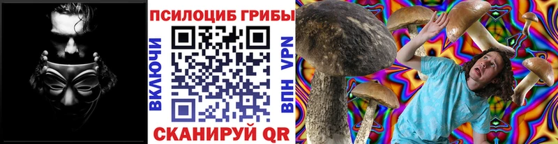 Псилоцибиновые грибы прущие грибы  Зеленоградск 